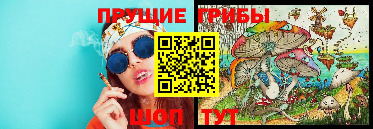 Галлюциногенные грибы Psilocybe Сертолово